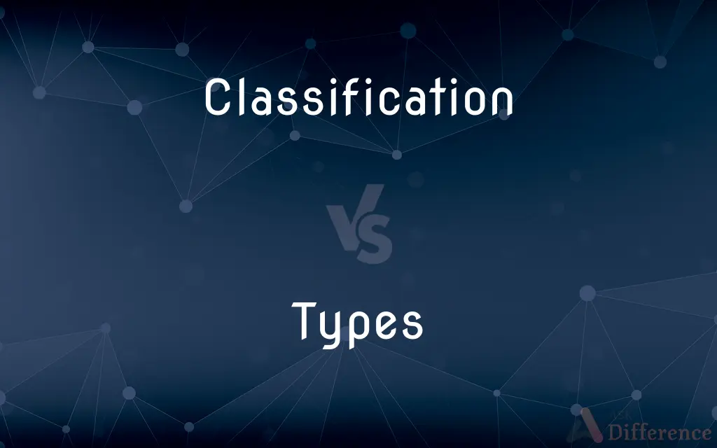 Classification vs. Types — What's the Difference?