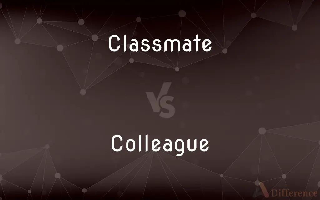 Classmate vs. Colleague — What's the Difference?