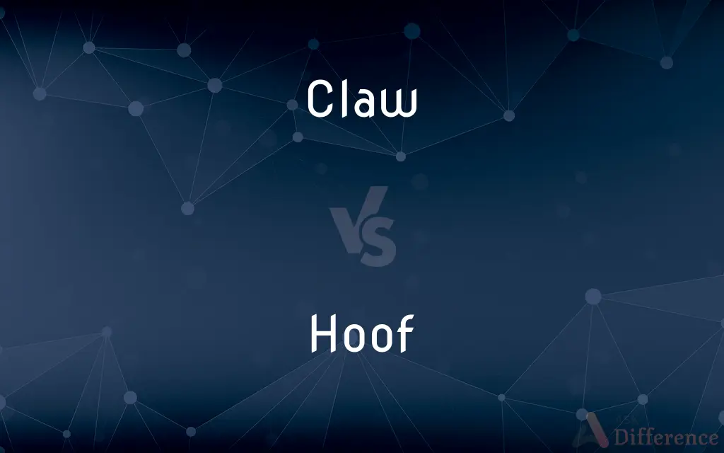 Claw vs. Hoof — What's the Difference?
