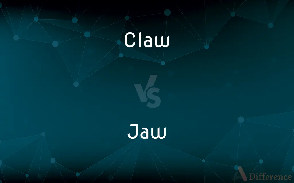 Claw vs. Jaw — What's the Difference?