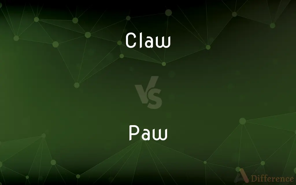 Claw vs. Paw — What's the Difference?