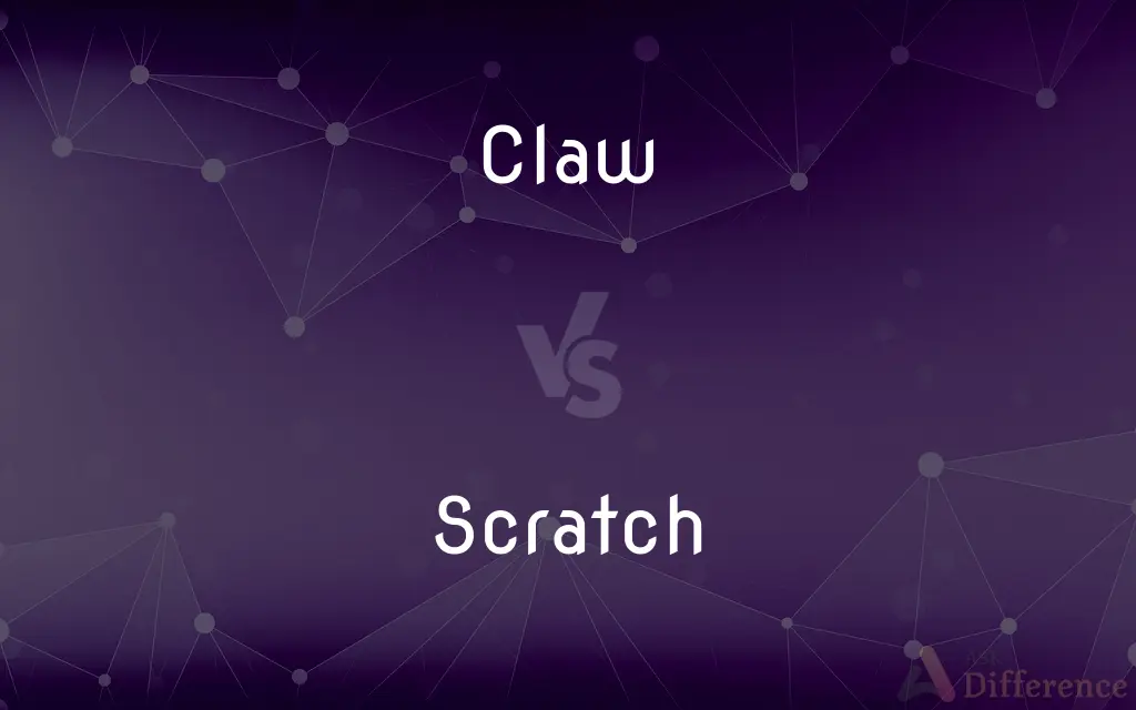 Claw vs. Scratch — What's the Difference?