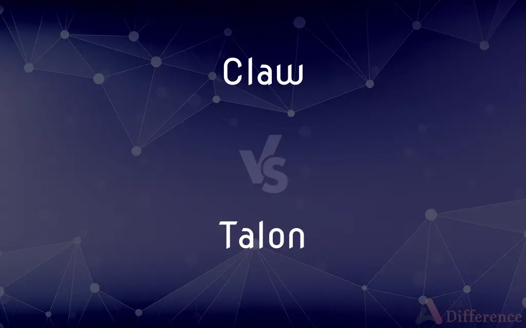 Claw vs. Talon — What's the Difference?