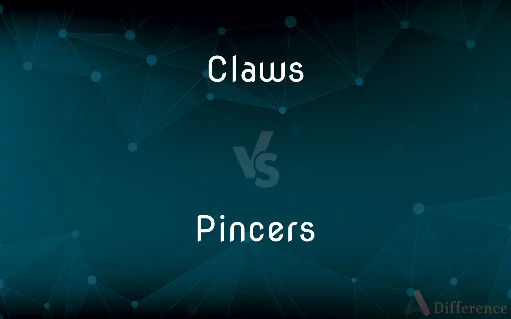 Claws vs. Pincers — What's the Difference?