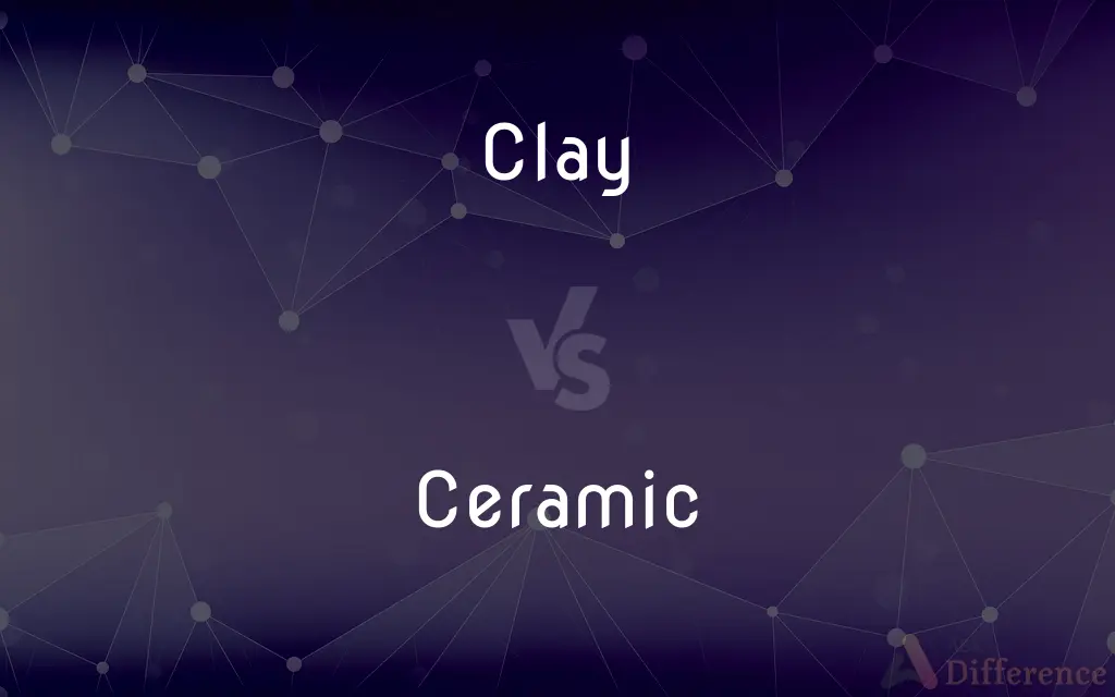 Clay vs. Ceramic — What's the Difference?