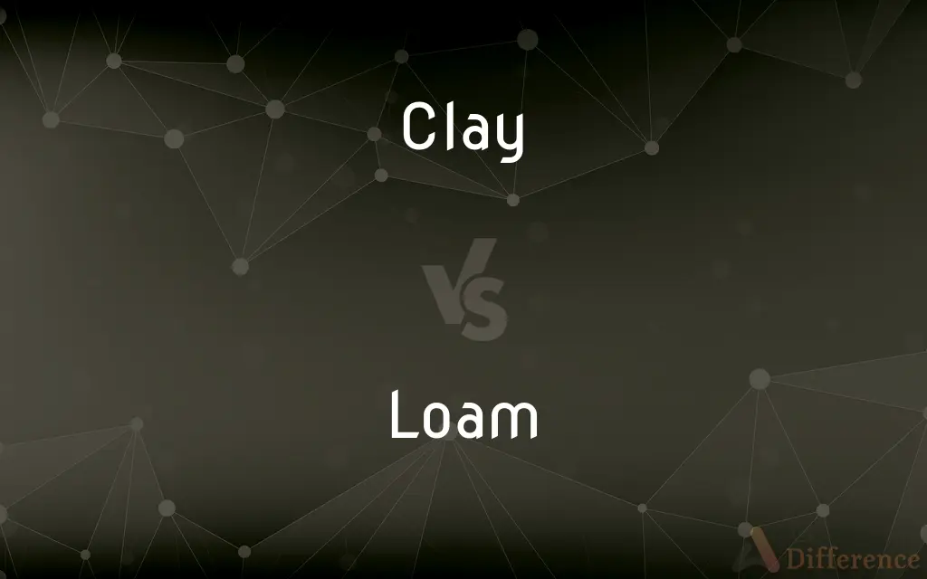 Clay vs. Loam — What's the Difference?