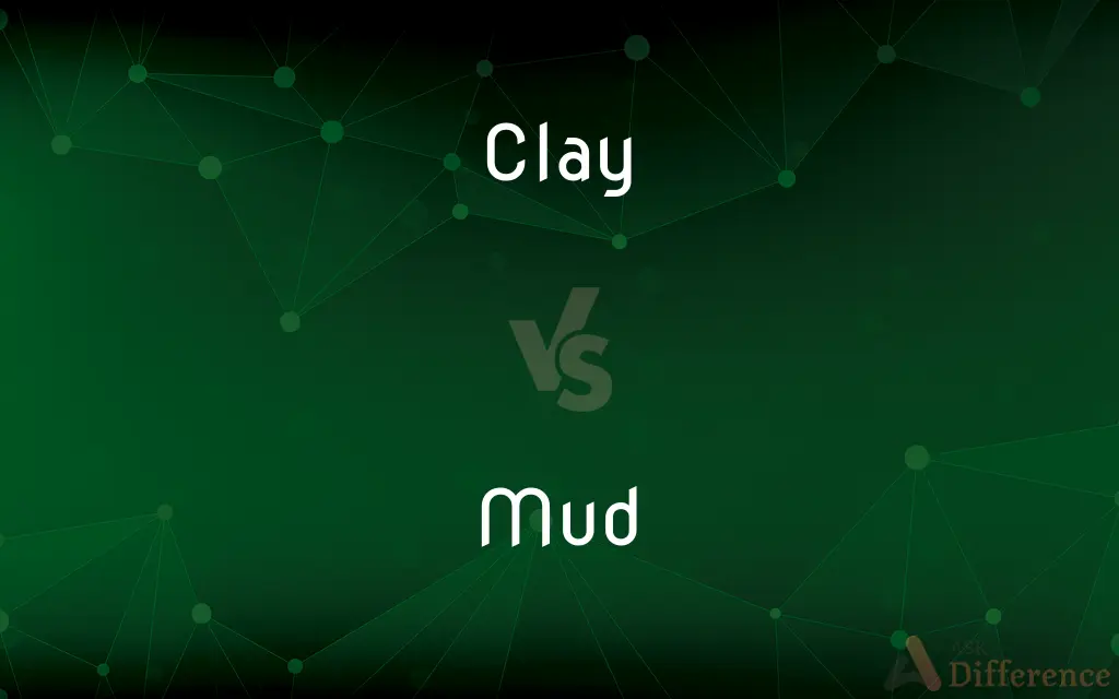 Clay vs. Mud — What's the Difference?