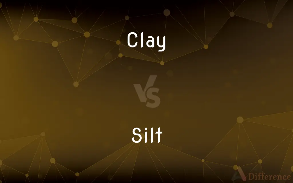 Clay vs. Silt — What's the Difference?