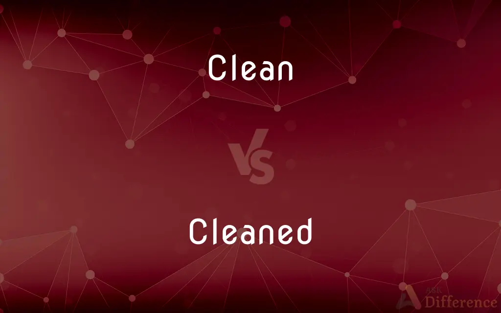 Clean vs. Cleaned — What's the Difference?