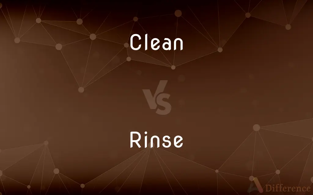 Clean vs. Rinse — What's the Difference?