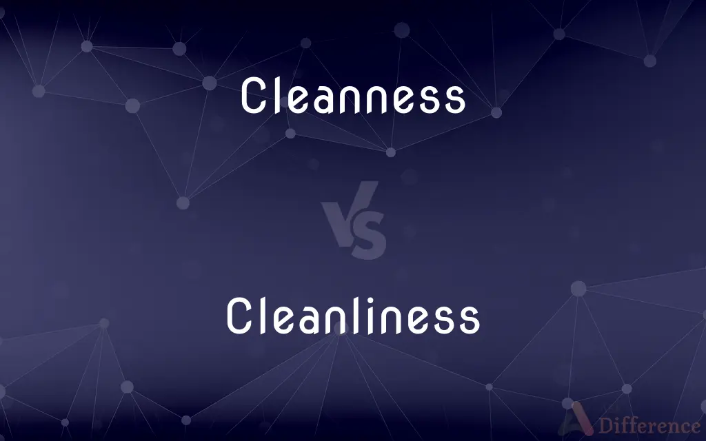 Cleanness vs. Cleanliness — What's the Difference?