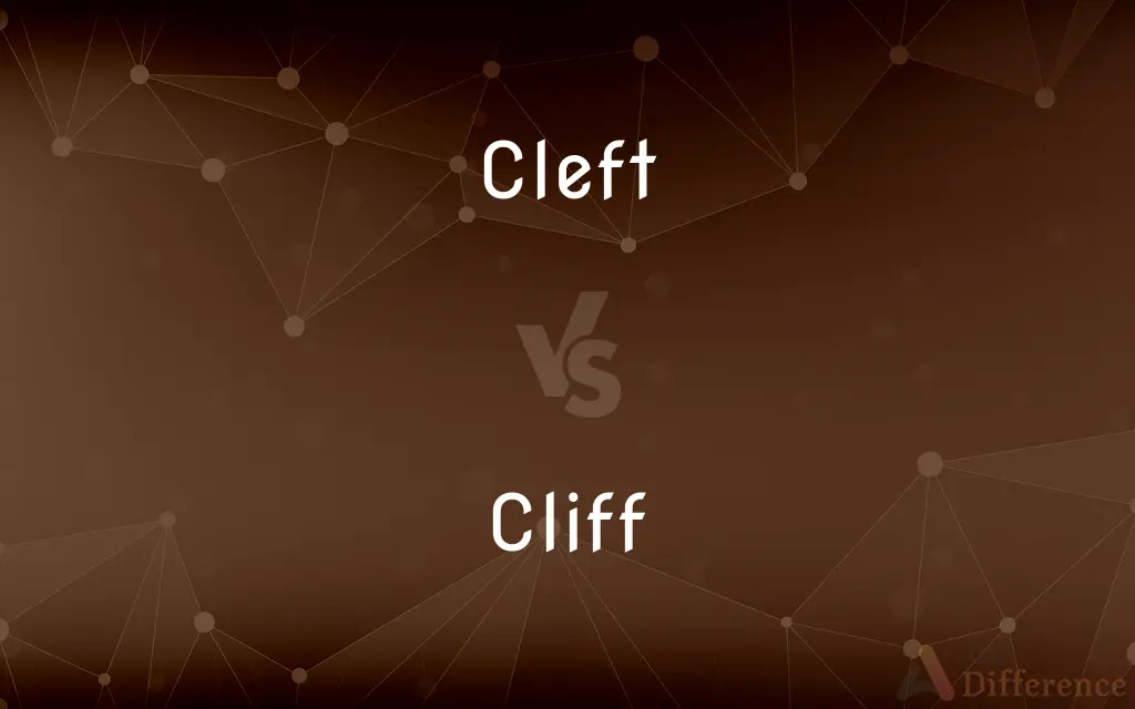 Cleft vs. Cliff — What's the Difference?