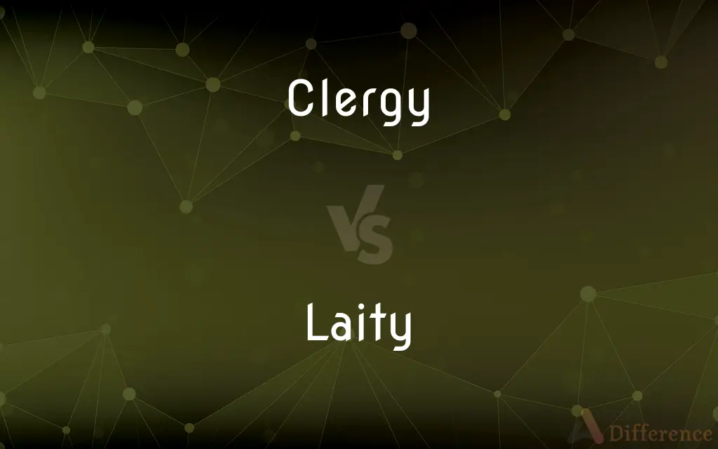 Clergy vs. Laity — What's the Difference?