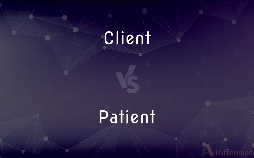 Client vs. Patient — What's the Difference?