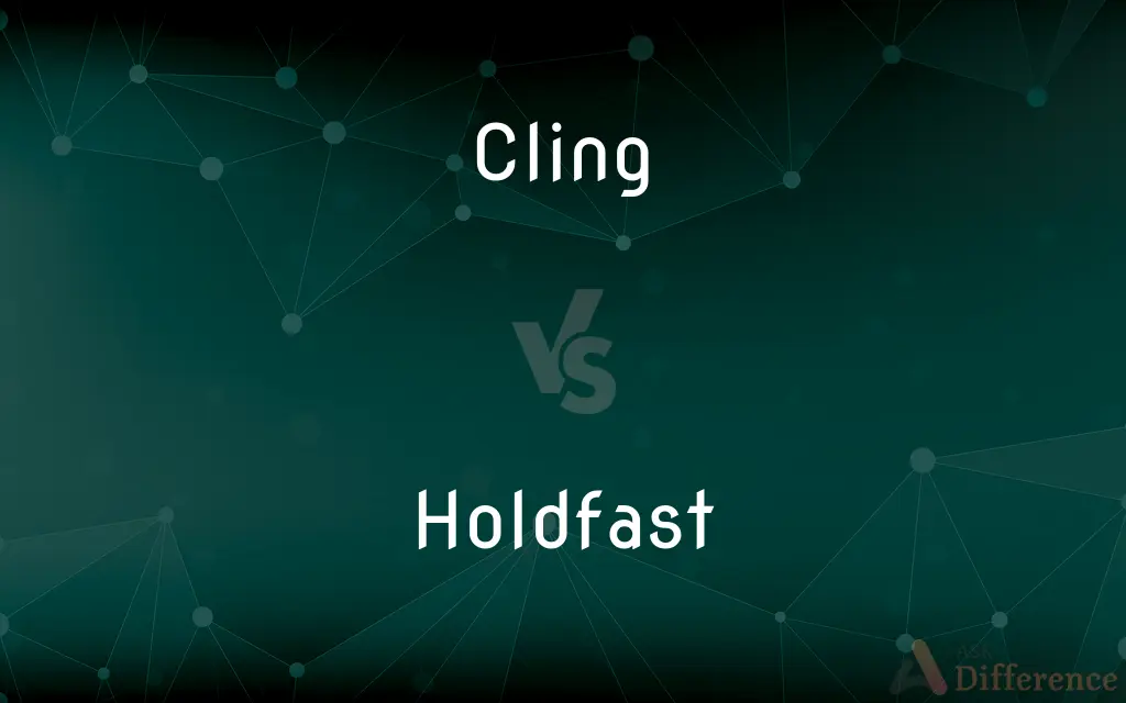 Cling vs. Holdfast — What's the Difference?