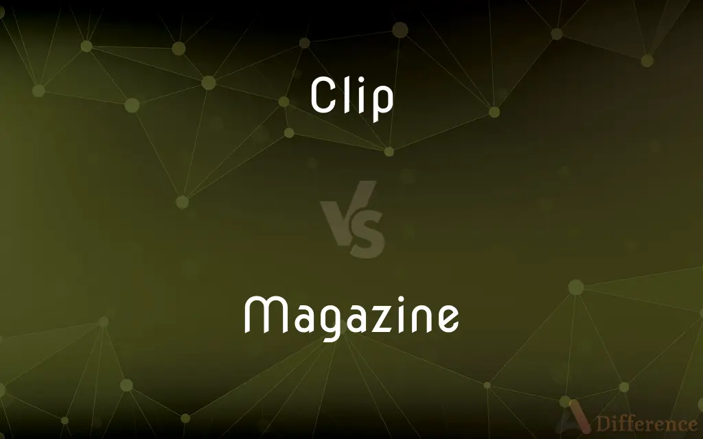 Clip vs. Magazine — What's the Difference?