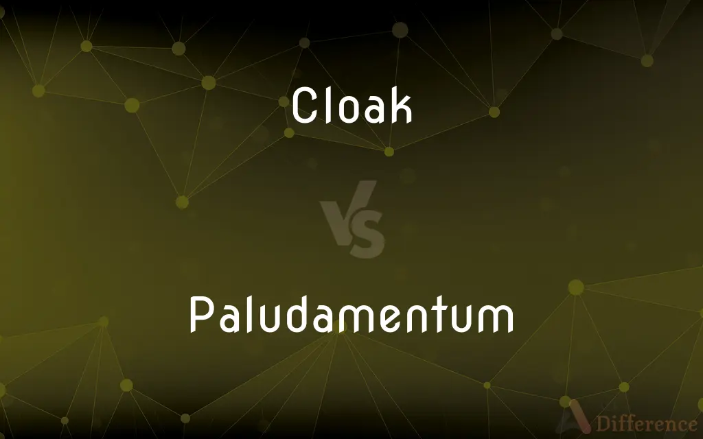 Cloak vs. Paludamentum — What's the Difference?