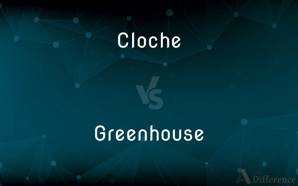 Cloche vs. Greenhouse — What's the Difference?