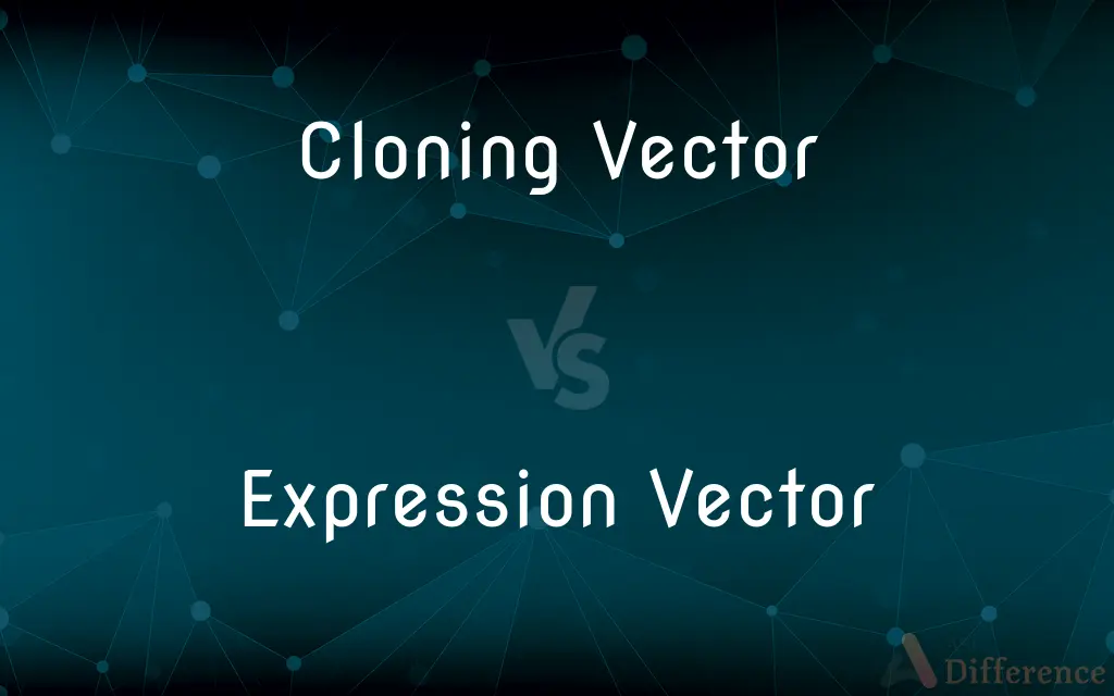 Cloning Vector vs. Expression Vector — What's the Difference?