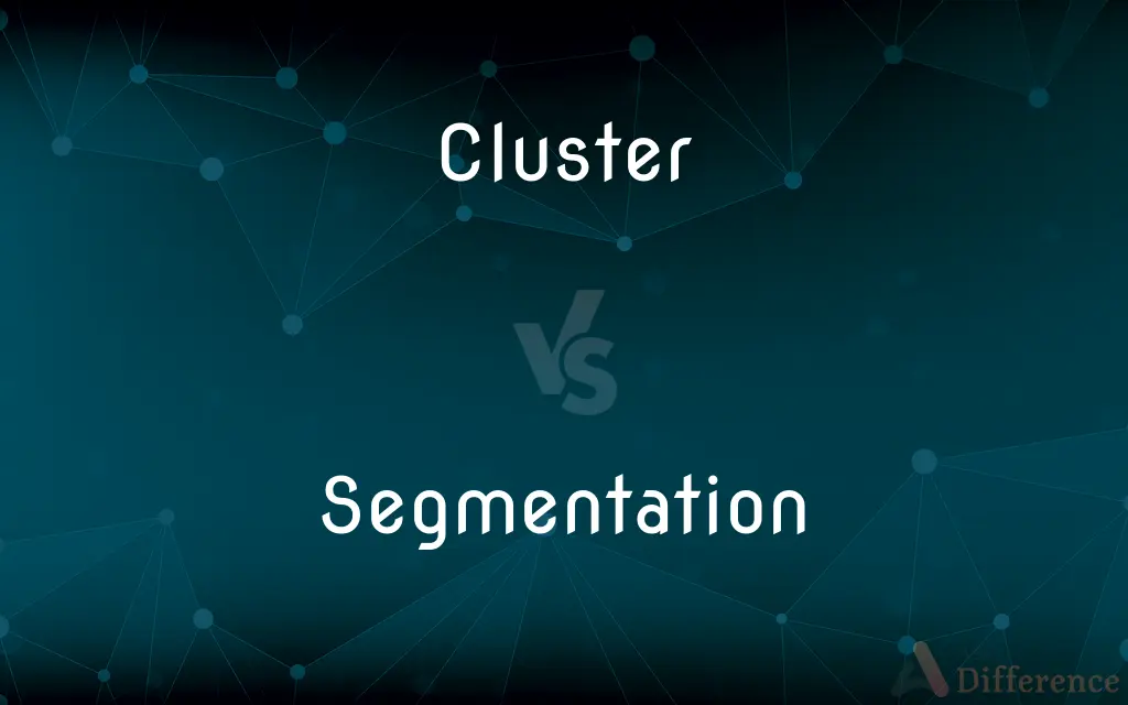 Cluster vs. Segmentation — What's the Difference?