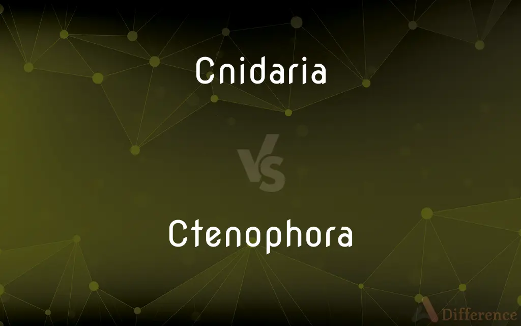 Cnidaria vs. Ctenophora — What's the Difference?