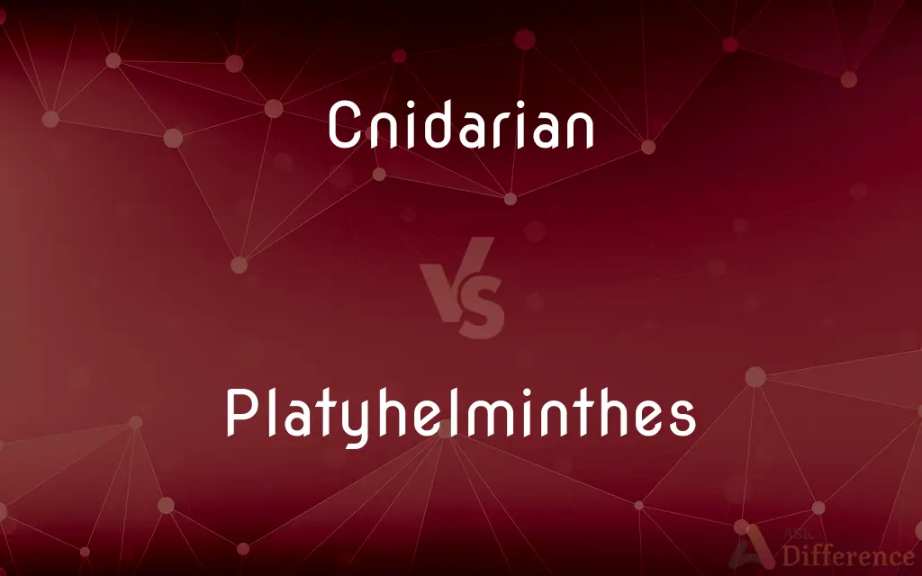 Cnidarian vs. Platyhelminthes — What's the Difference?