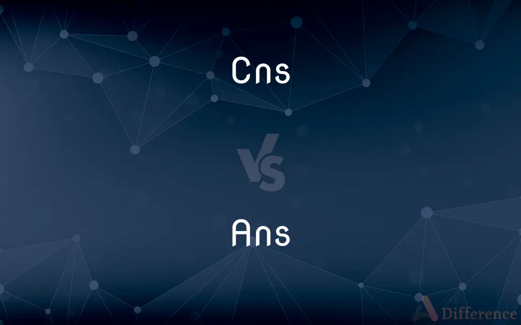 Cns vs. Ans — What's the Difference?