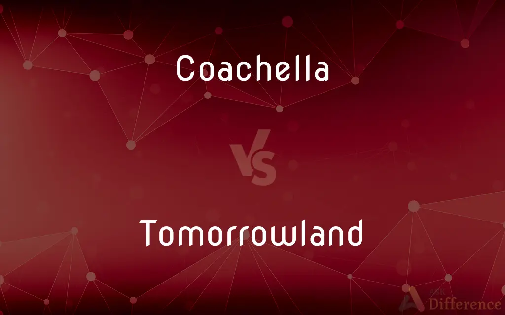 Coachella vs. Tomorrowland — What's the Difference?
