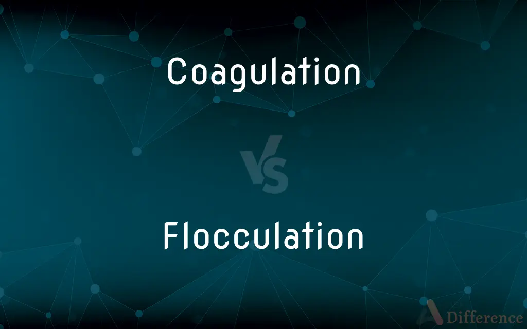 Coagulation vs. Flocculation — What's the Difference?