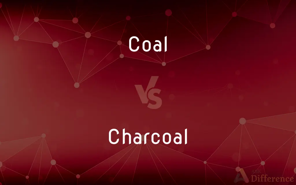 Coal vs. Charcoal — What's the Difference?