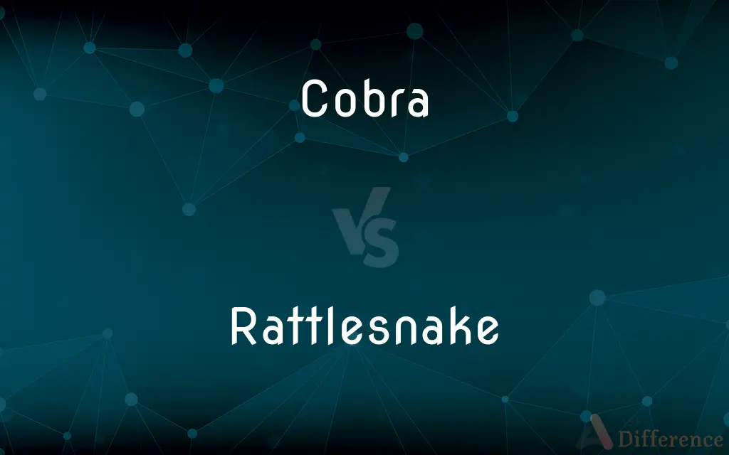 Cobra vs. Rattlesnake — What's the Difference?