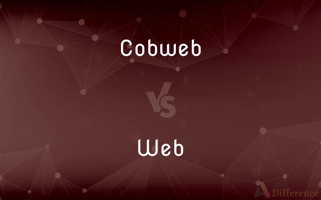 Cobweb vs. Web — What's the Difference?