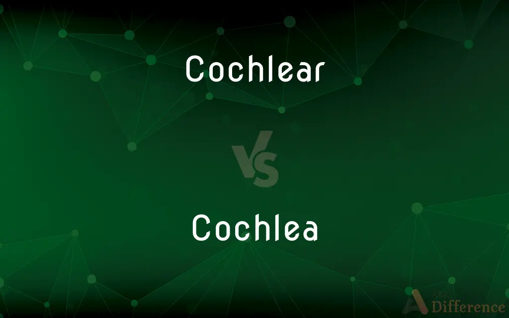 Cochlear vs. Cochlea — What's the Difference?