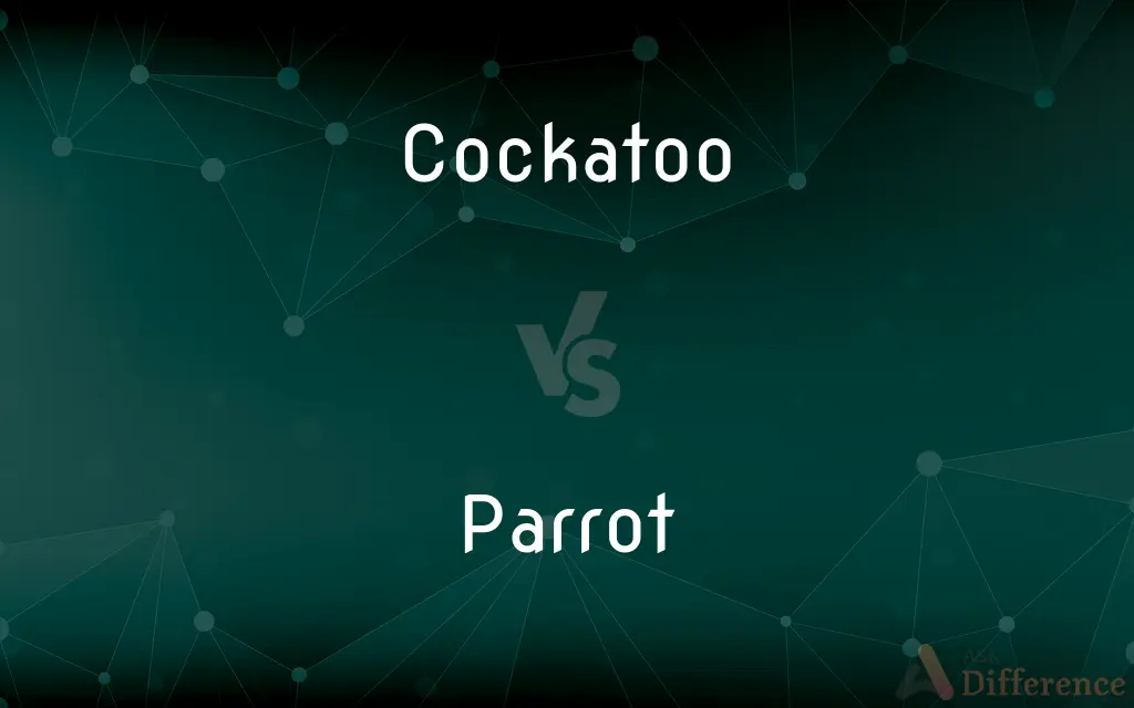 Cockatoo vs. Parrot — What's the Difference?