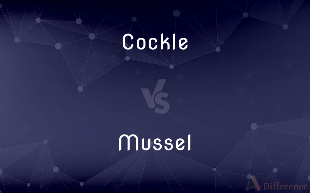Cockle vs. Mussel — What's the Difference?