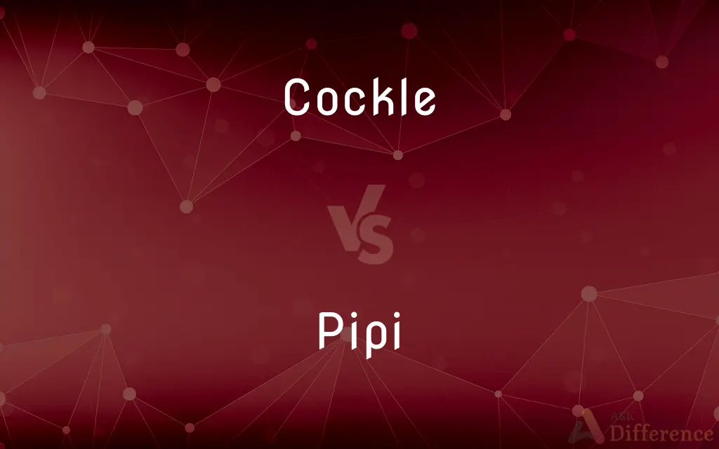 Cockle vs. Pipi — What's the Difference?