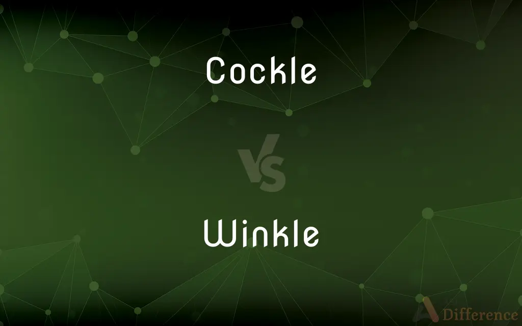Cockle vs. Winkle — What's the Difference?