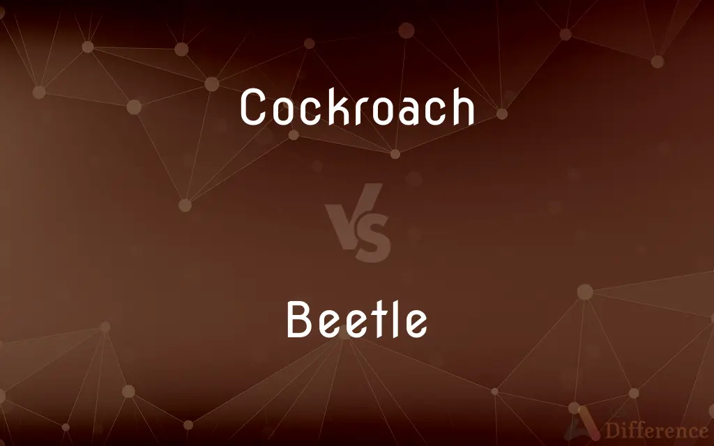 Cockroach vs. Beetle — What's the Difference?