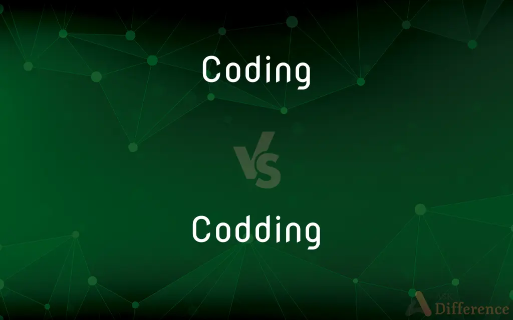 Coding vs. Codding — What's the Difference?