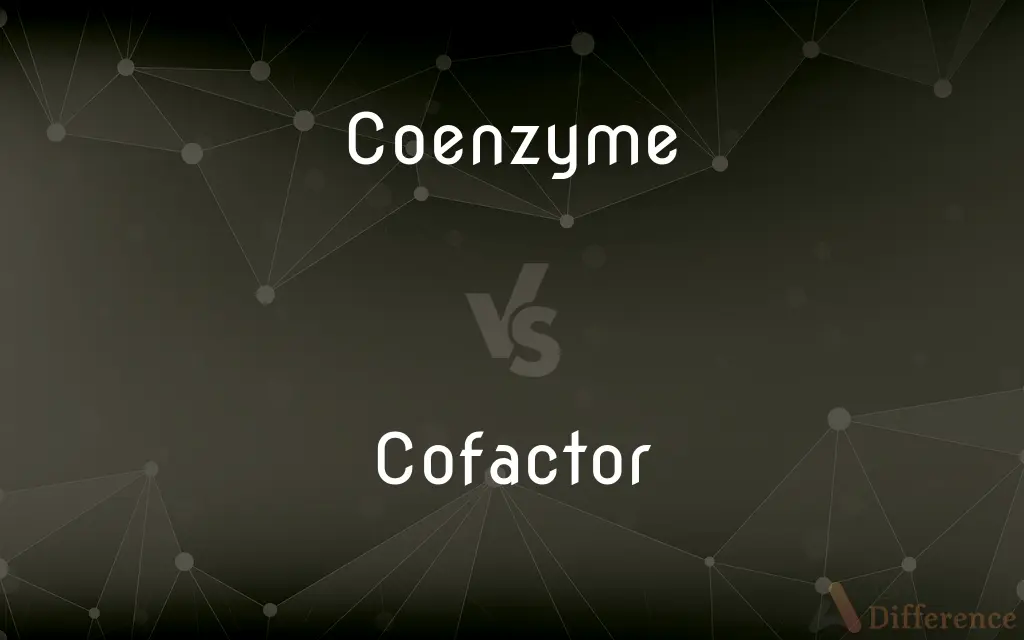 Coenzyme vs. Cofactor — What's the Difference?