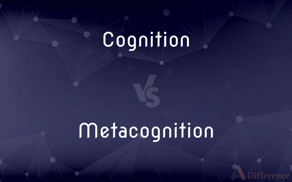 Cognition vs. Metacognition — What's the Difference?