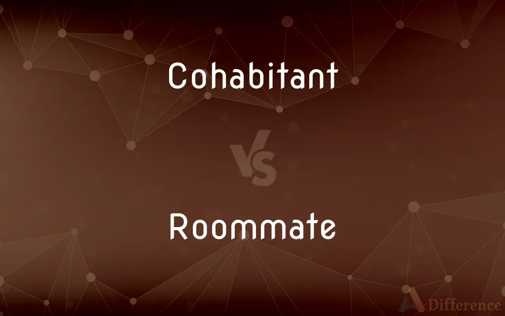 Cohabitant vs. Roommate — What's the Difference?