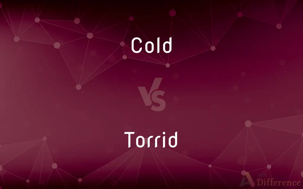 Cold vs. Torrid — What's the Difference?
