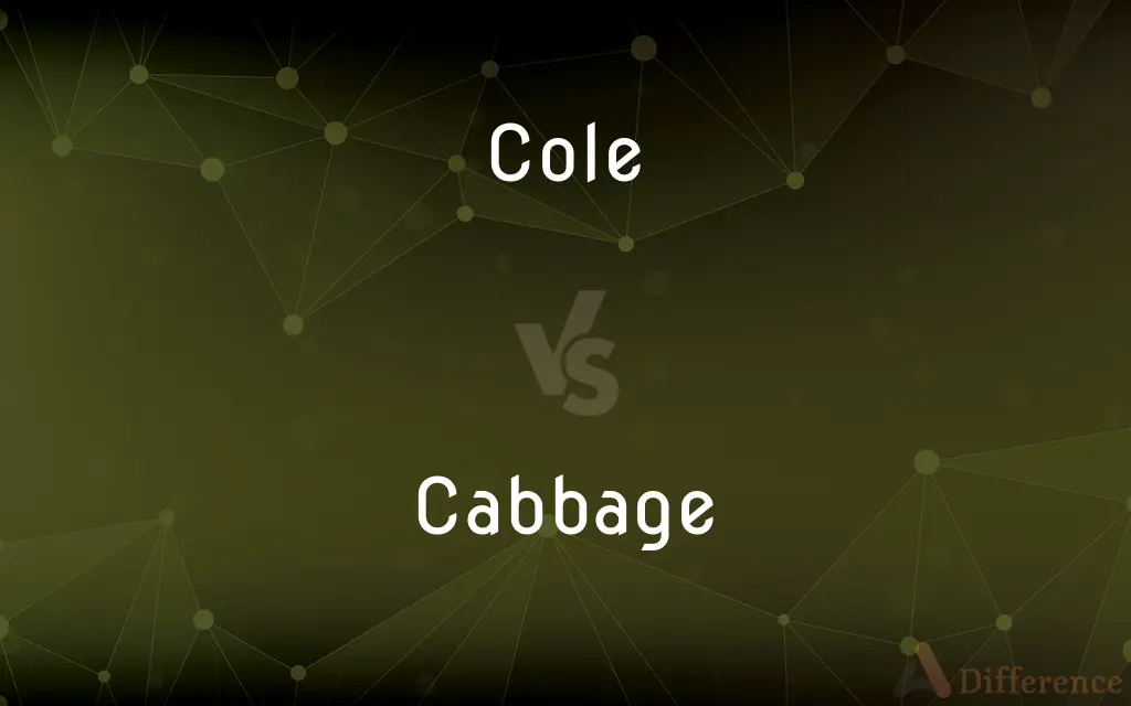 Cole vs. Cabbage — What's the Difference?