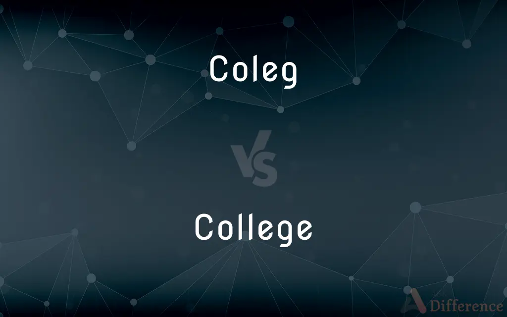 Coleg vs. College — What's the Difference?