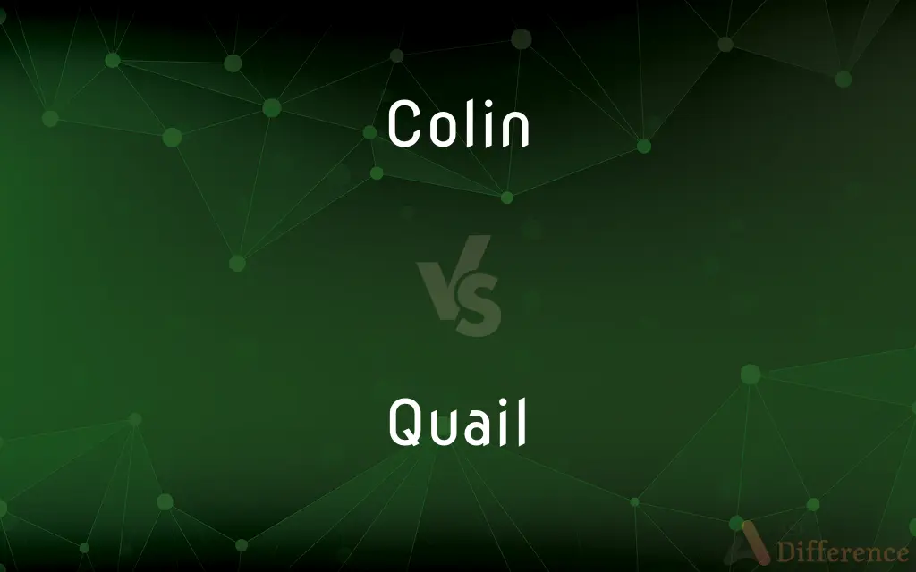 Colin vs. Quail — What's the Difference?