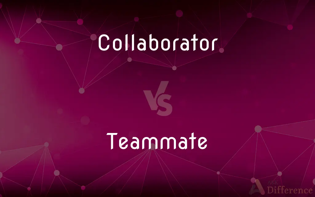 Collaborator vs. Teammate — What's the Difference?