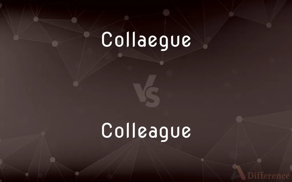 Collaegue vs. Colleague — Which is Correct Spelling?