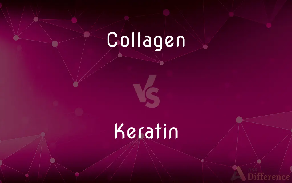 Collagen vs. Keratin — What's the Difference?