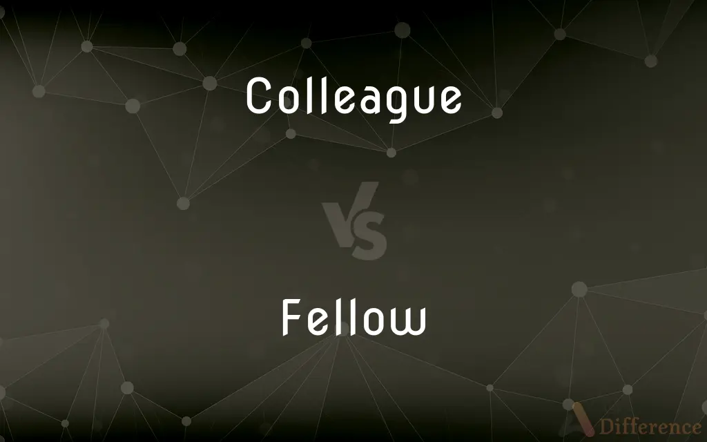 Colleague vs. Fellow — What's the Difference?